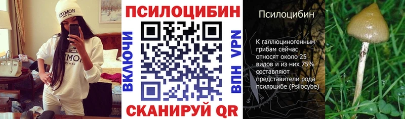 Купить где Шуя Псилоцибиновые грибы мухоморы