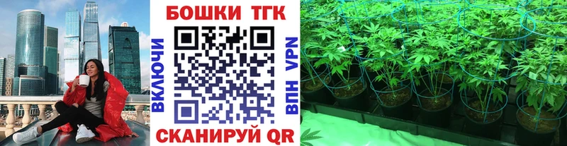 Канабис ГИДРОПОН Купить где Шуя